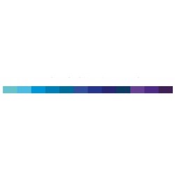 Karin Violet-Blue Colors Collection 12 colors Pigment Decobrush
